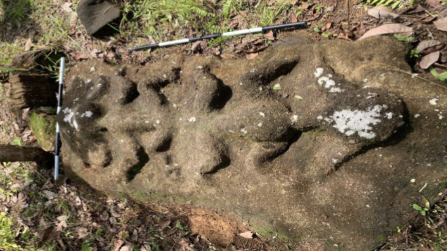 Batu ukir Lejiu Ayak