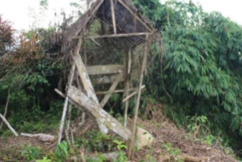 Kubu’ Lidung Kemenci