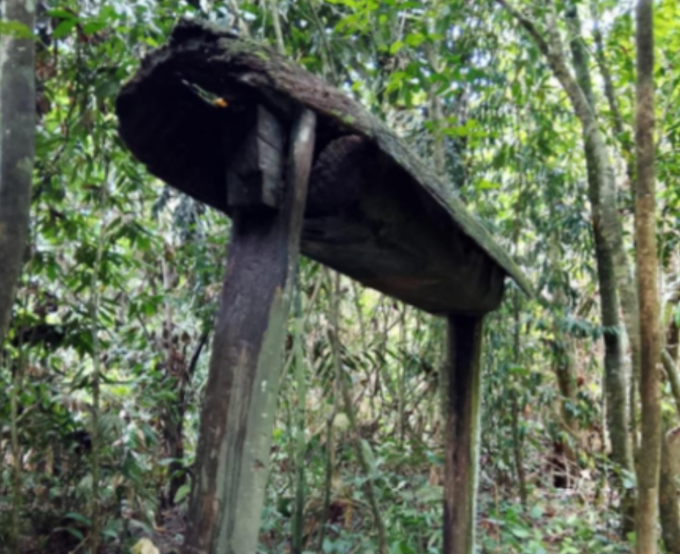 Lungun Ngonan Desa Sengayan.