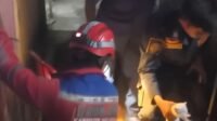 Momen ketika anak kucing berhasil dievakuasi tim Damkar Malinau. Momen ketika anak kucing berhasil dievakuasi tim Damkar Malinau.