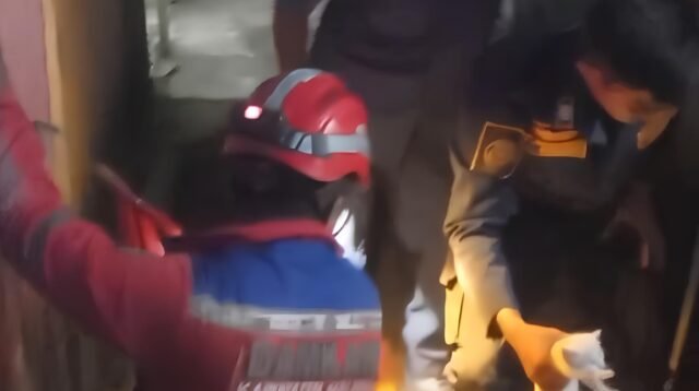 Momen ketika anak kucing berhasil dievakuasi tim Damkar Malinau.
