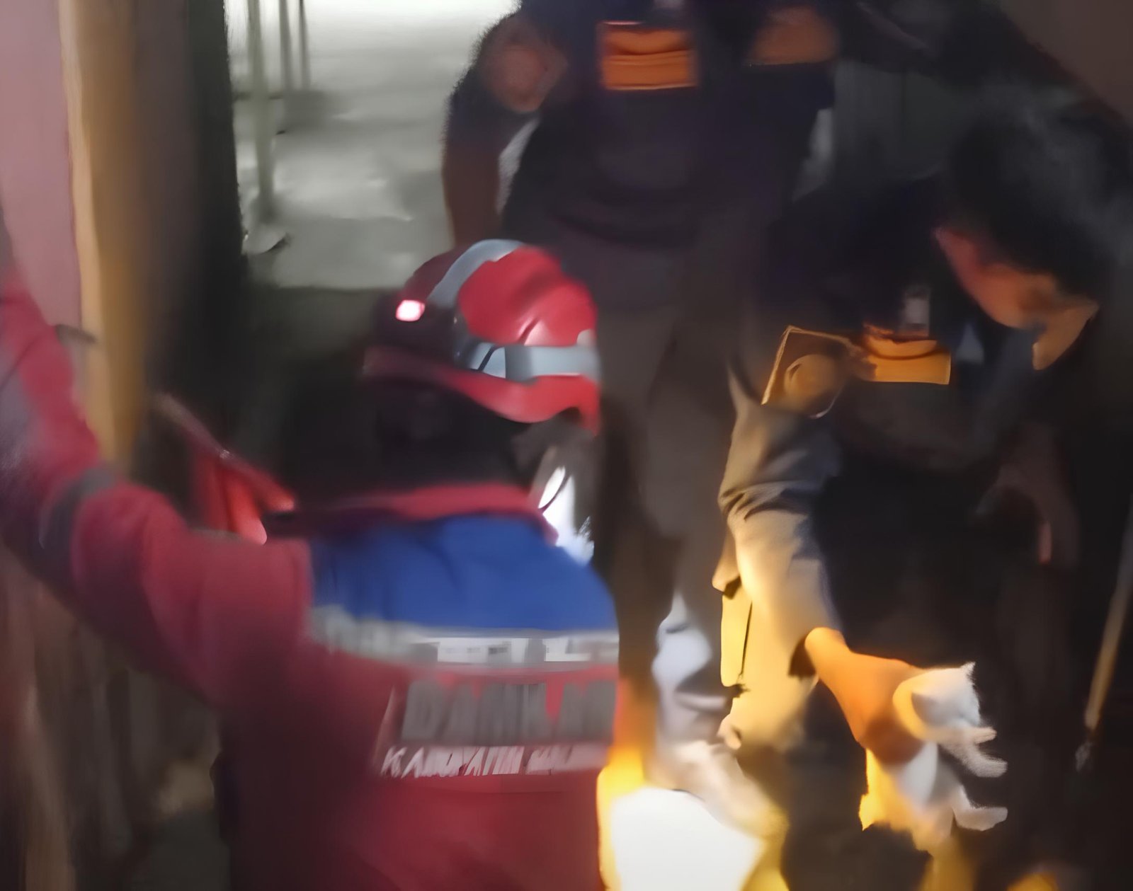 Momen ketika anak kucing berhasil dievakuasi tim Damkar Malinau. Momen ketika anak kucing berhasil dievakuasi tim Damkar Malinau.